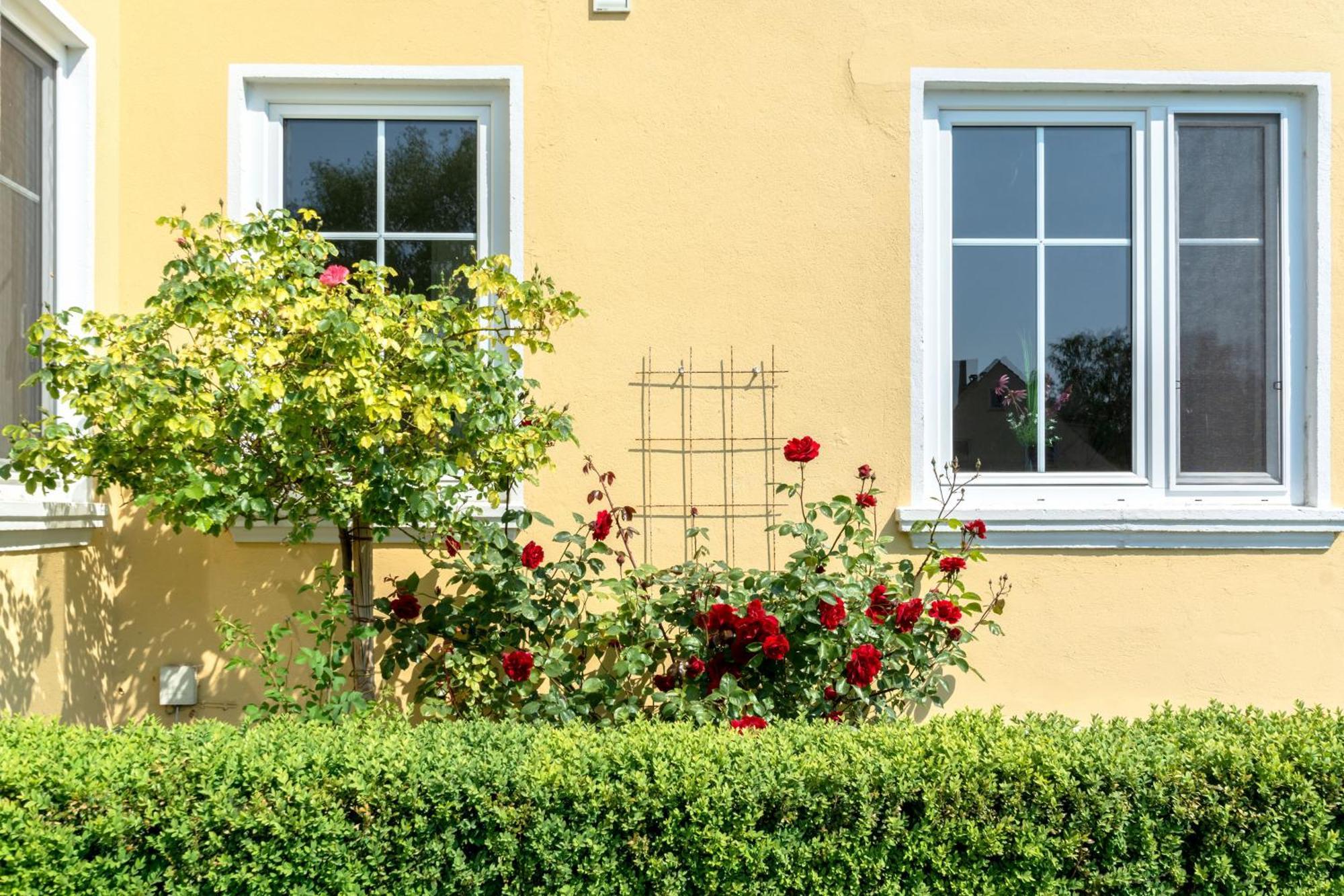 Hotel Wahnfried 3*